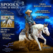 About the Warm Up Series