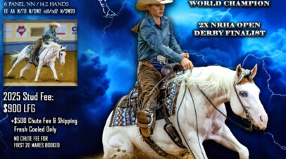 About the Warm Up Series