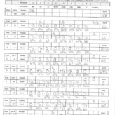 Youth Judge’s Sheets